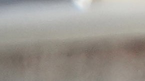 Truth Social (propiedad de Trump) notificó sobre amenazas de muerte hechas por un hombre de Utah contra Joe Biden