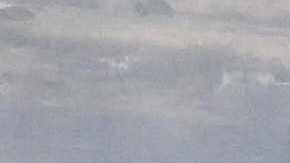 Presidente Joe Biden aprueba declaración de desastre en Hawaii por incendios forestales