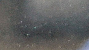 "Hoy es un día triste para EE.UU.": qué dijo Donald Trump luego de presentarse ante la corte en Washington D.C.