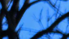 Vecinos buscan pertenencias en las cenizas de lo que fuera su vivienda en Lahaina, en Maui.