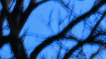 Vecinos buscan pertenencias en las cenizas de lo que fuera su vivienda en Lahaina, en Maui.