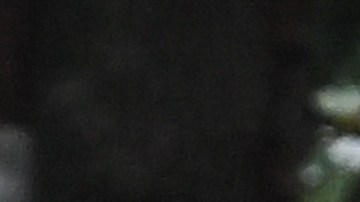 Cenat se podría enfrentar a dos cargos de incitación a disturbios y reunión ilegal en relación con el caos.