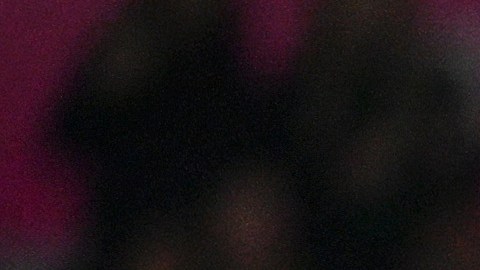 Selección de Estados Unidos durante los 8vos de final del Mundial Australia y Nueva Zelanda 2023.