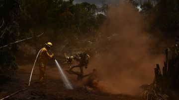 Los incendios forestales en Hawaii se han convertido en el siniestro más mortífero de Estados Unidos.