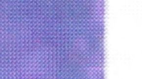 ARGENTINA-POLITICS-ELECTION-PRIMARY-MILEI