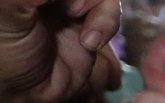 Milei ha sido acusado de tener una actitud violenta frente a periodistas y críticos.