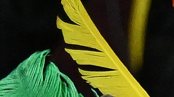 Locales en Australia y Nueva Zelanda: Colombia juega a casa llena en el Mundial femenino