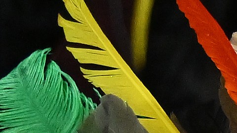 Locales en Australia y Nueva Zelanda: Colombia juega a casa llena en el Mundial femenino