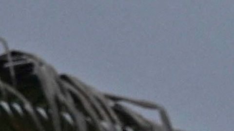 MEXICO-WEATHER-HURRICANE-HILARY