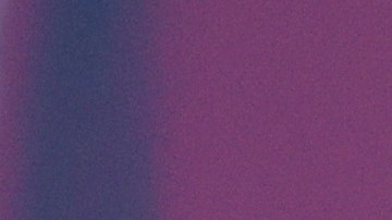 Trump reiteró que Mike Pence, a su juicio, sí podía rechazar los resultados de las elecciones de 2020