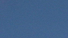 Encuesta indica que mayoría de estadounidenses desea que juzguen al expresidente Trump