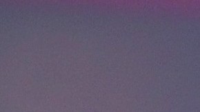 Abogada de Trump asegura que "no está preocupada" por los cargos en contra del expresidente