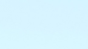 Supuestos seguidores de Trump difunden información personal de miembros de gran jurado de Georgia