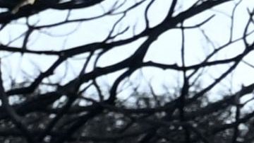 La etapa siguiente sería la eliminación de desechos peligrosos y que será hecha por la Agencia de Protección Ambiental de Estados Unidos.