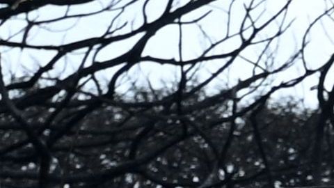 La etapa siguiente sería la eliminación de desechos peligrosos y que será hecha por la Agencia de Protección Ambiental de Estados Unidos.
