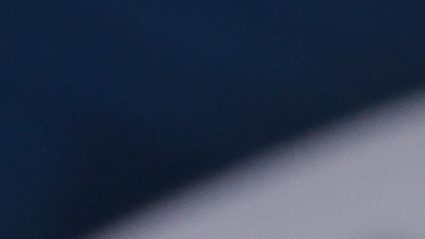 Senador estatal republicano pide investigar a la fiscal Fani Willis, quien acusó al expresidente Donald Trump en Georgia