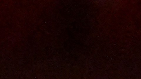 El presidente ruso Vladimir Putin.