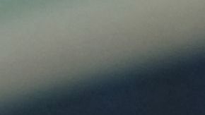 Tucker Carlson le preguntó a Trump si pensaba que lo iban a asesinar: esto fue lo que respondió