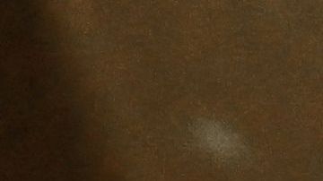 No existe una versión oficial sobre la muerte de Yevgeny Prigozhin.