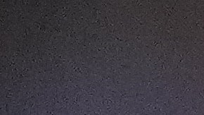 Lionel Messi, jugador del Inter Miami.