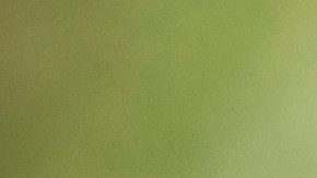 Biden se ha mantenido al margen con respecto a las acusaciones de su hijo Hunter.