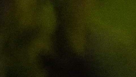 Joe Biden está próximo a cumplir 81 años.