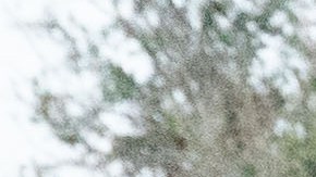 El supremacista blanco mató a tres personas negras inocentes en una tienda Dollar General.