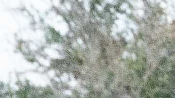 El supremacista blanco mató a tres personas negras inocentes en una tienda Dollar General.