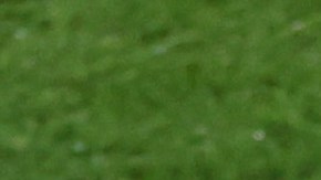 DT de la selección femenina de España criticó "comportamiento impropio de Rubiales" y no renuncia a su cargo