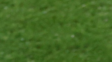 DT de la selección femenina de España criticó "comportamiento impropio de Rubiales" y no renuncia a su cargo