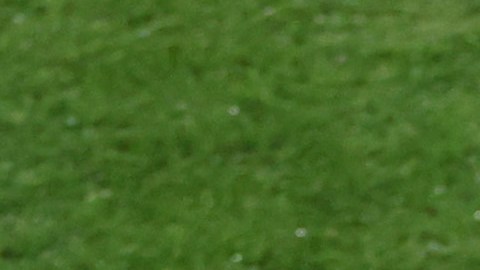 DT de la selección femenina de España criticó "comportamiento impropio de Rubiales" y no renuncia a su cargo