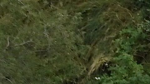 La competencia tiene por primera vez un campeón mexicano.