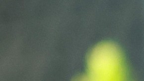 Tata Martino, entrenador del Inter Miami.