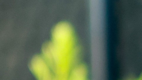 Tata Martino, entrenador del Inter Miami.