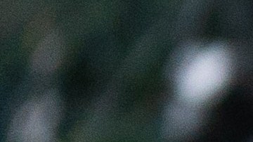 Nixon dijo que DeSantis ha avivado este tipo de sucesos en Florida y que tiene "las manos manchadas de sangre".