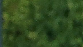 Seguridad del Coors Field retira al fanático que intentó conocer y que derribó a Ronald Acuña Jr.