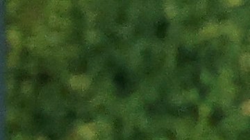 Seguridad del Coors Field retira al fanático que intentó conocer y que derribó a Ronald Acuña Jr.