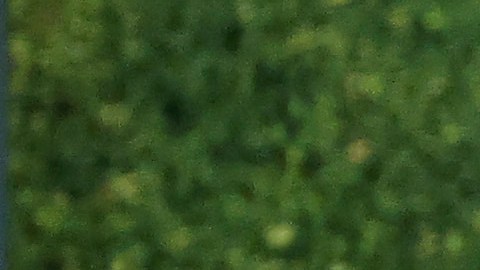 Seguridad del Coors Field retira al fanático que intentó conocer y que derribó a Ronald Acuña Jr.