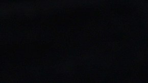 Autora conservadora Ann Coulter no cree que Trump sea el nominado republicano para las elecciones de 2024