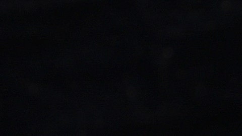 Autora conservadora Ann Coulter no cree que Trump sea el nominado republicano para las elecciones de 2024