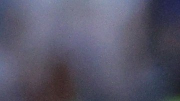 Encuentro de leyendas en Nueva York: Messi y Djokovic se juntaron en la “Gran Manzana”