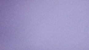 Randy Arozarena, jugador de los Tampa Bay Rays.