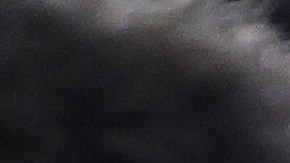 Asa Hutchinson: ¿el único aspirante presidencial republicano que no apoyaría la nominación de Trump?