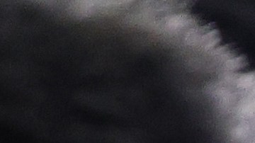 Asa Hutchinson: ¿el único aspirante presidencial republicano que no apoyaría la nominación de Trump?