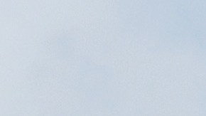 Donald Trump vuelve a Twitter: "Nunca me rendiré"