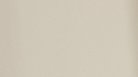 Kamala Harris: "Los trabajadores sindicalizados fortalecen nuestra clase media y toda nuestra economía"