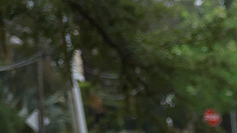 Huracán Idalia en Florida