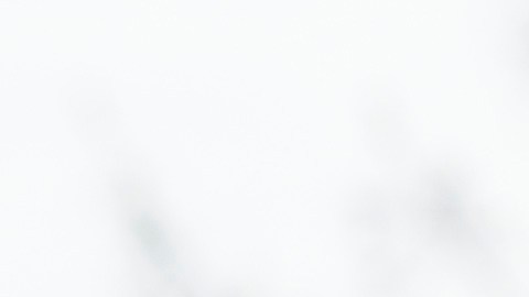 Científicos del Instituto de Tecnología de Núremberg y de la Universidad de Greifswald calcularon el costo real de 9 productos de Penny.