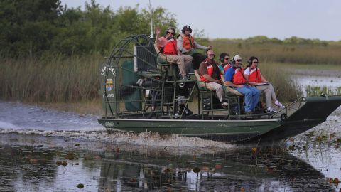 Wild Florida declaró que están haciendo su propia investigación interna para dar con las causas del incidente.