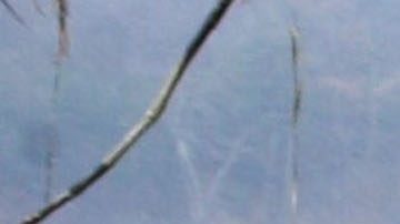 La muerte de Parr sigue bajo investigación de las autoridades y la Patrulla Marina de la Policía Estatal está solicitando a los testigos que se presenten.